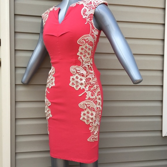 Stunning Bodycon Dress in Pink and Tan Lace - Picture 6 of 7